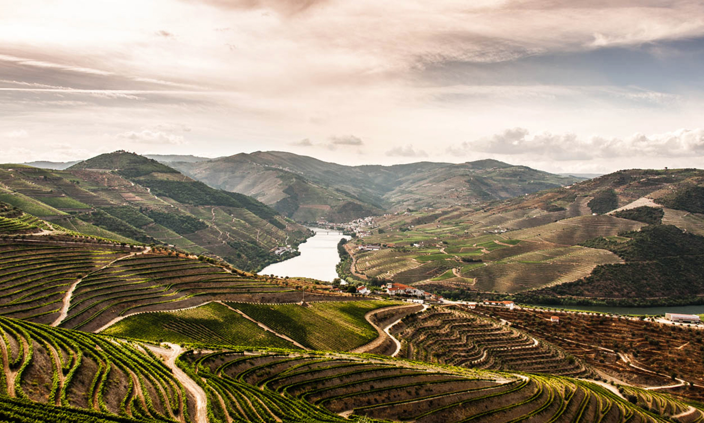 Douro Valley in Portugal.